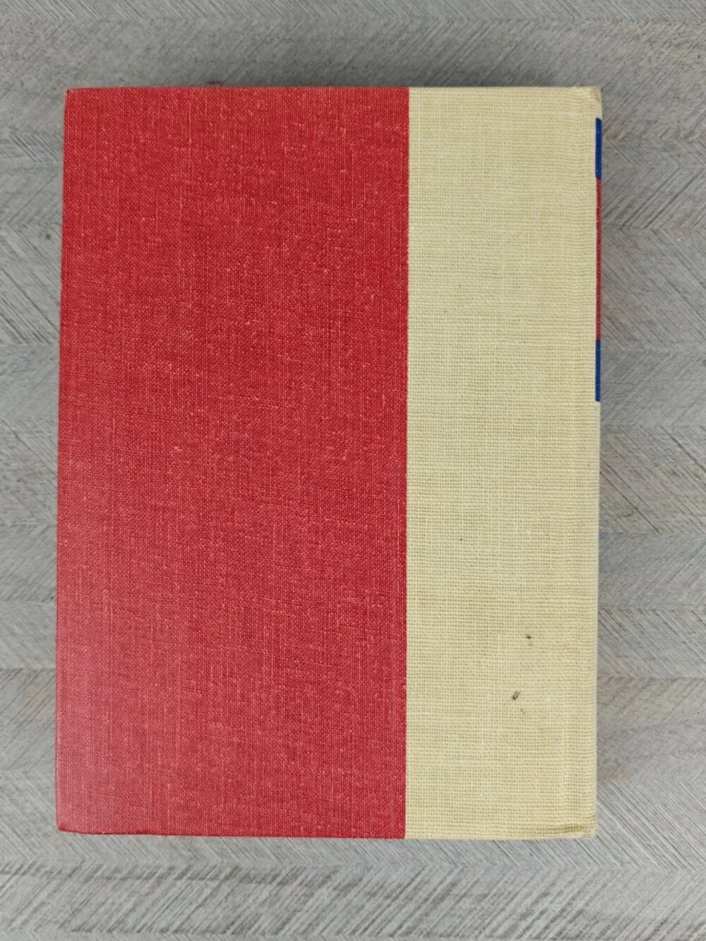 The Young Lion Hunter Zane Grey Hardcover 1939 Western Adventure Classic